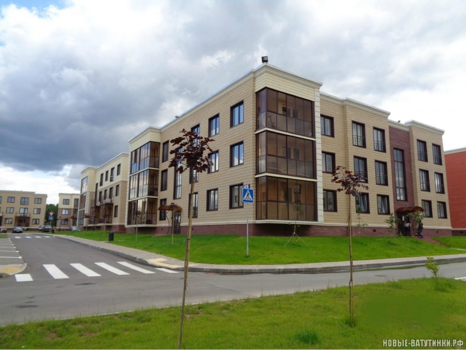 Ватутинки ул футбольная