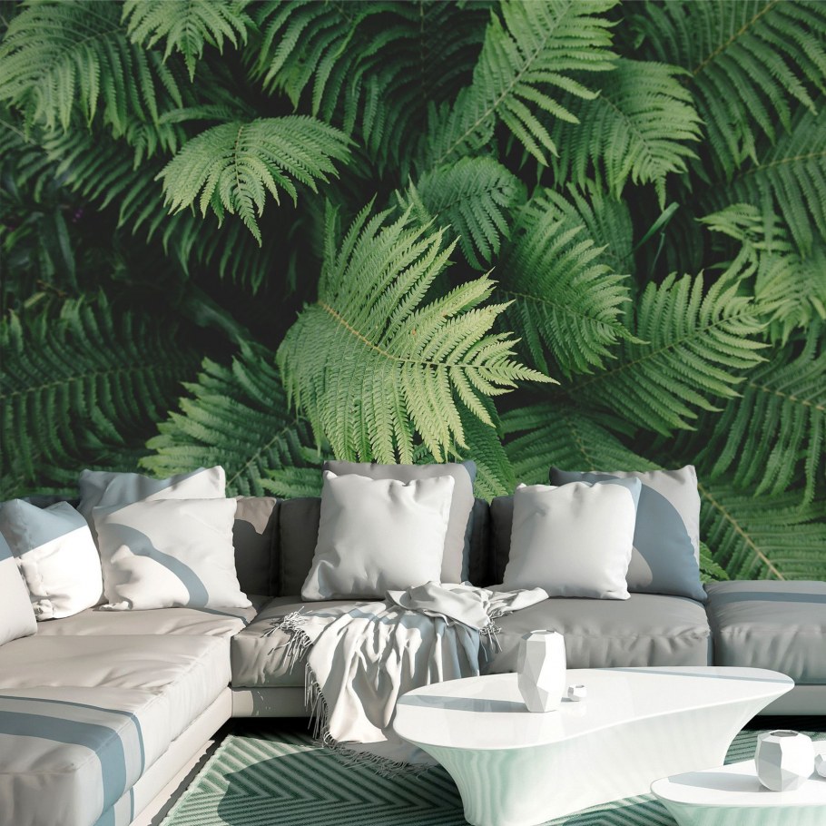 Папоротник на стене