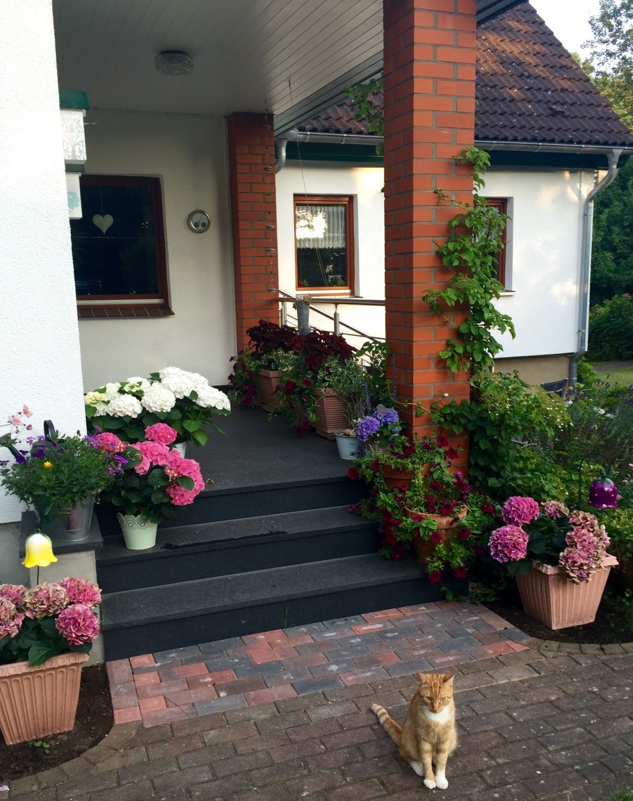 Смарагд Озеленение участков