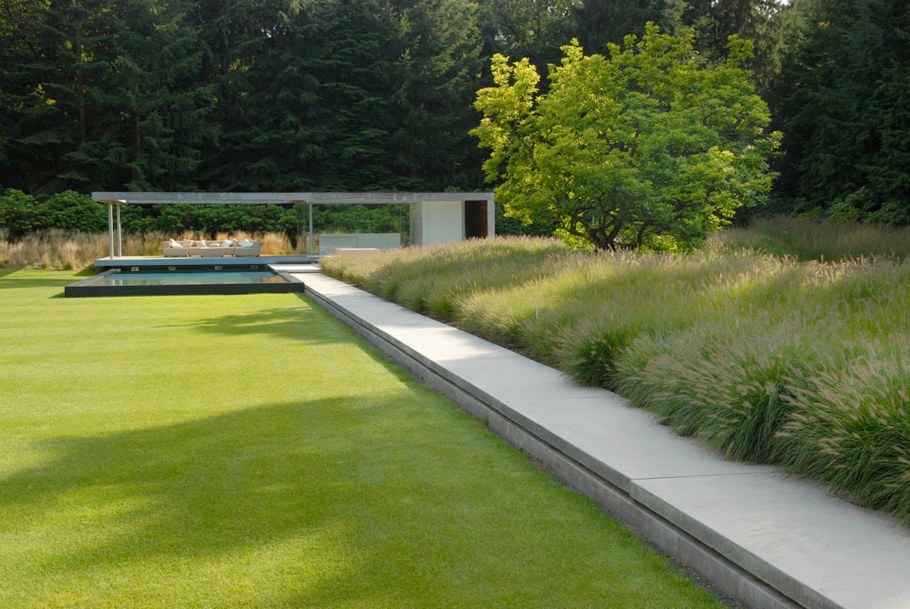 Эндрю Ван Эгмонд