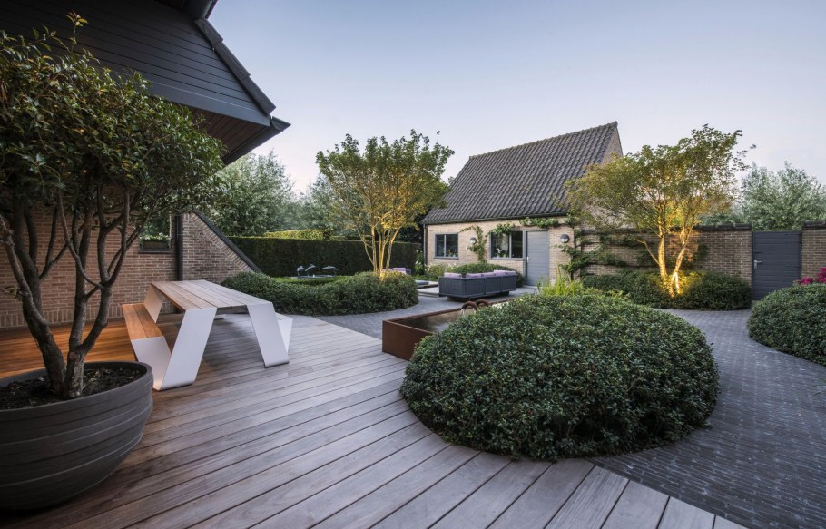 Скандинавия Живая изгородь