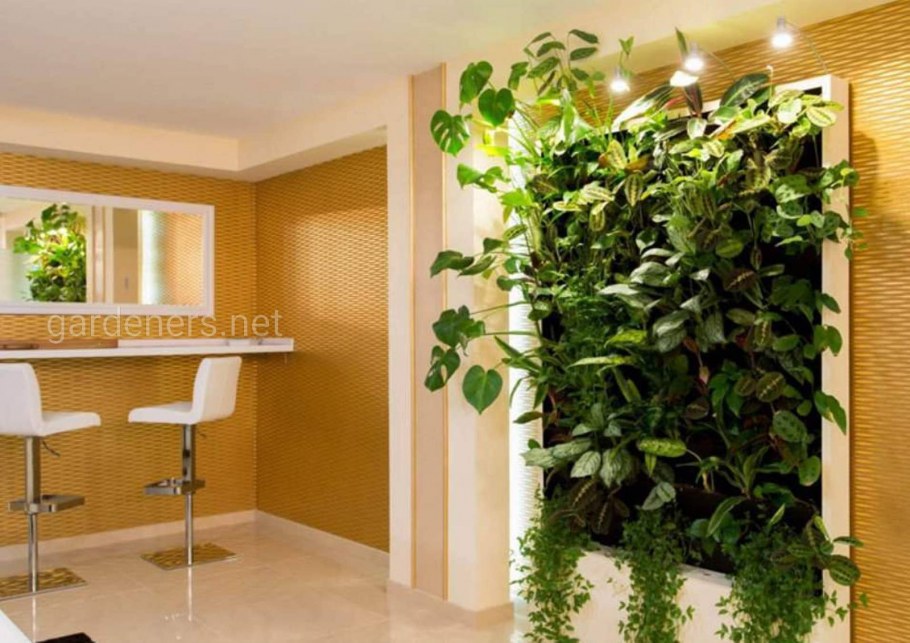 Фитостена перегородка