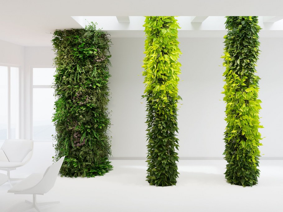 Фитостена 3ds