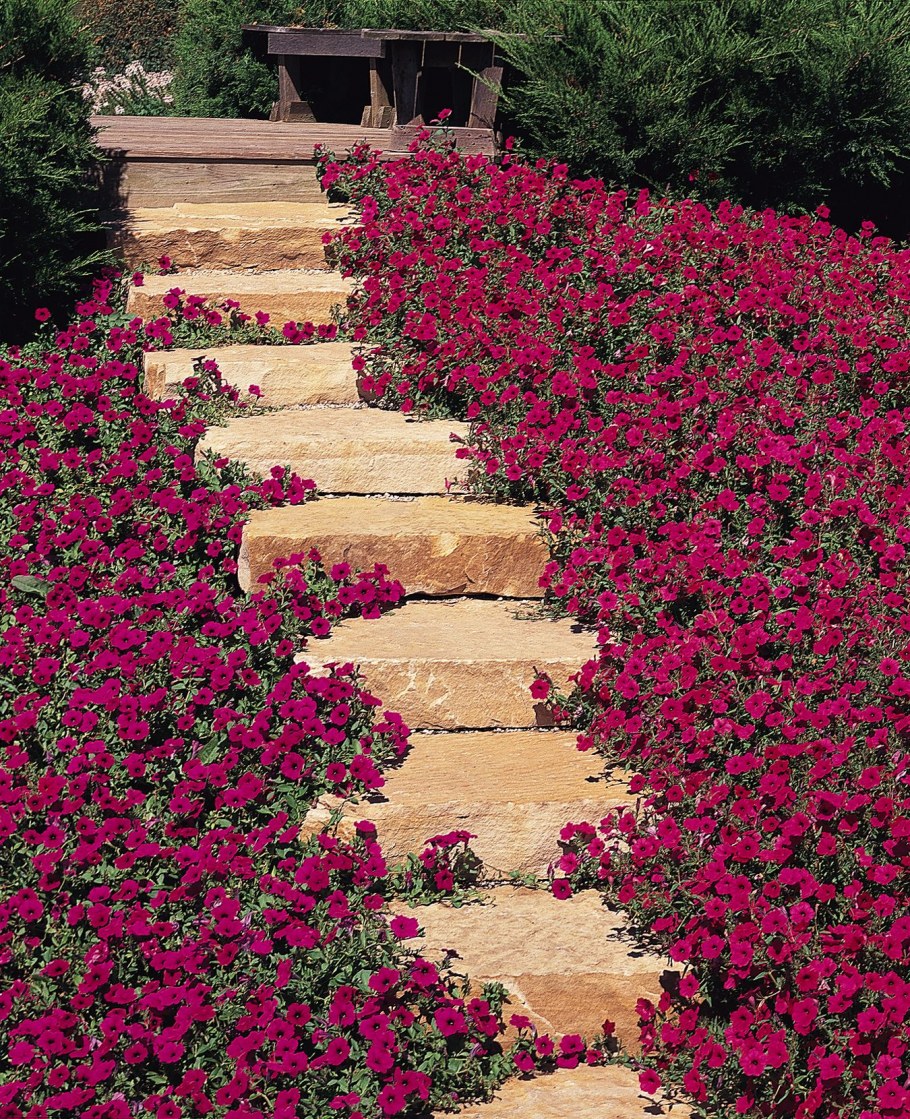 Ярусные грядки