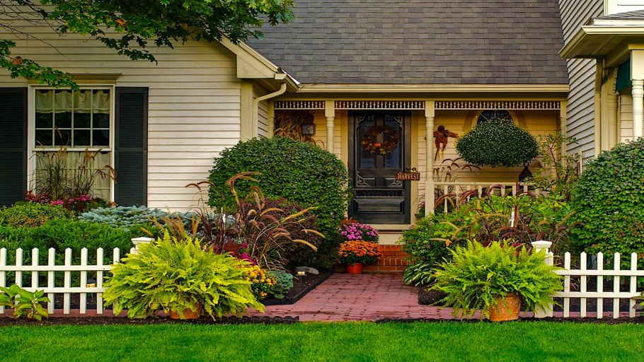 Ландшафтный дизайн дачного участка