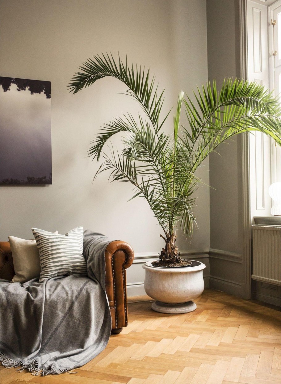 Шведский стиль лагом