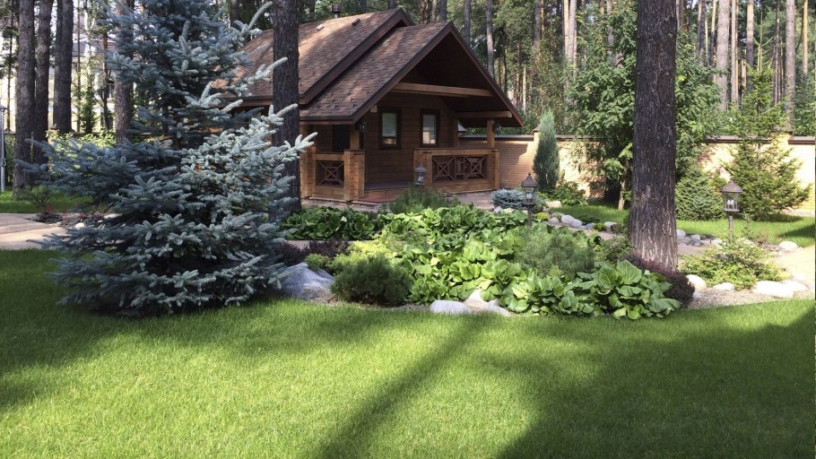 Ландшафт с хвойниками в стиле леса