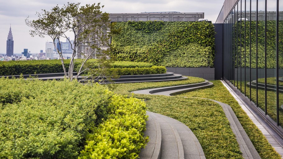 Жан мюс ландшафтный Архитектор