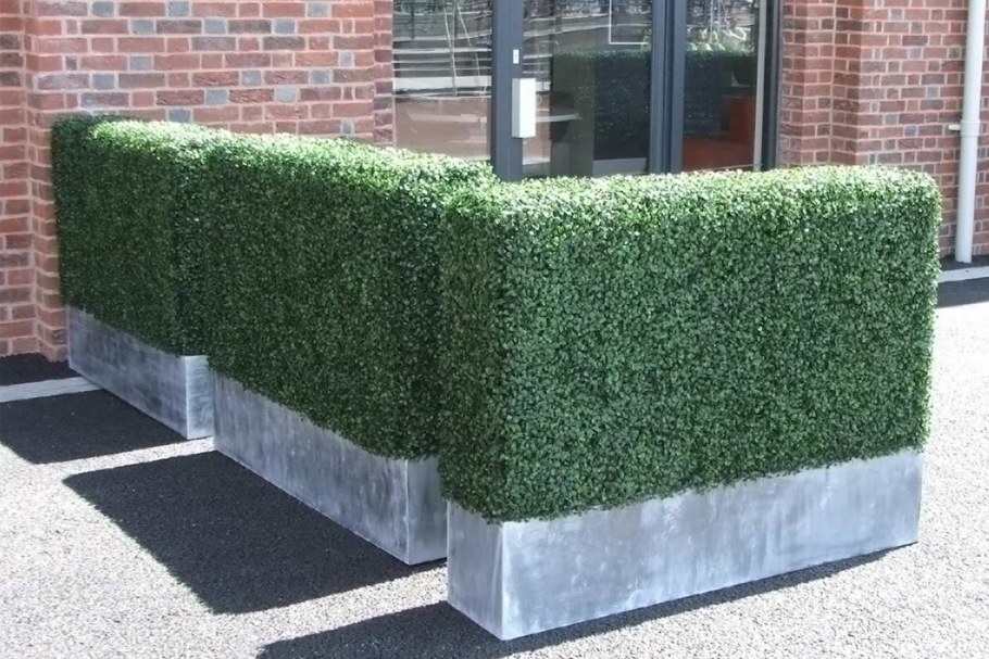 Войлочная система вертикального озеленения