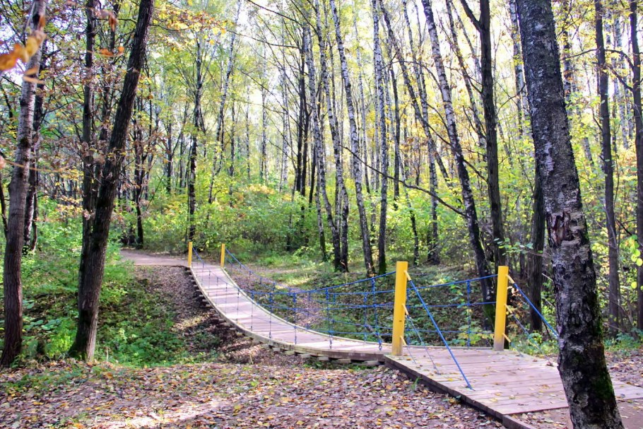 Баня русский лес Лапино