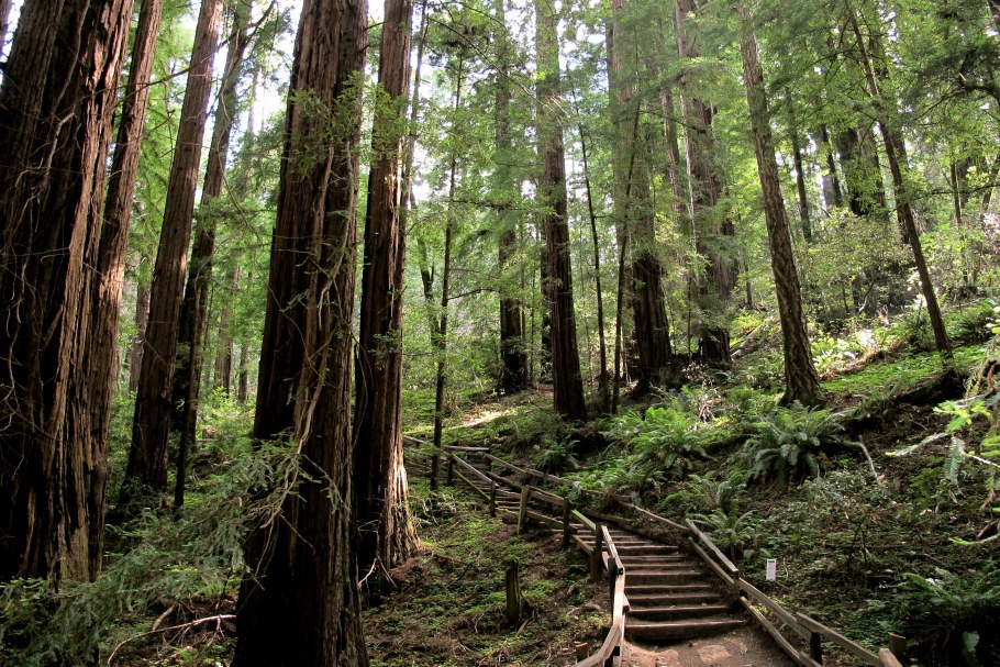 Парк серебряный Бор Москва