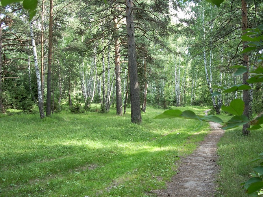 Сосновый Бор Экопарк