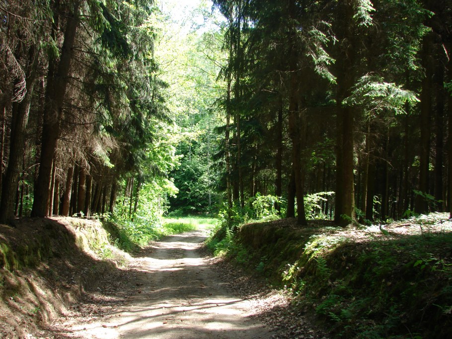 Архитектурный проект турбазы