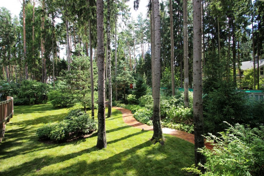 Рекреационный лес