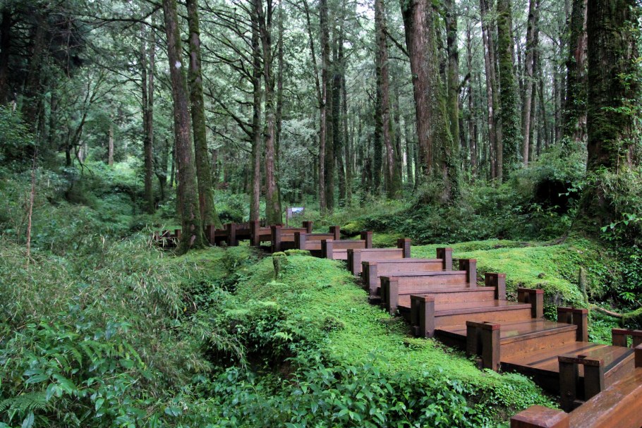 Экотропы Япония