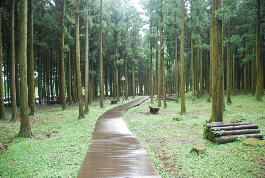 Озеро Лесное Дубковский лес