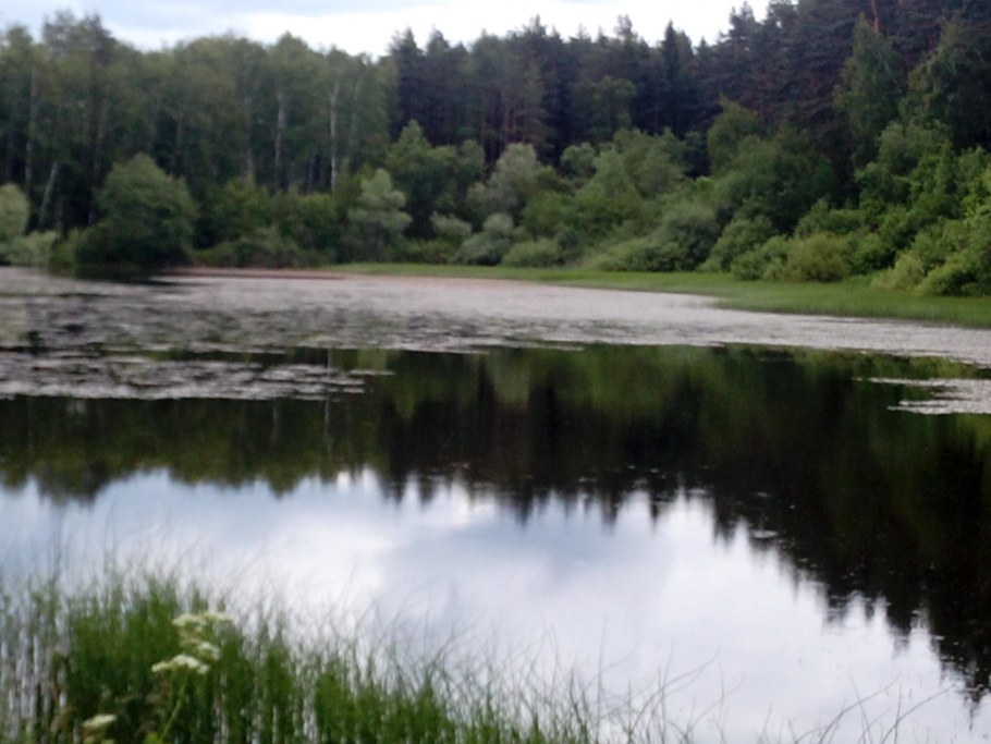 Современные оздоровительные центры