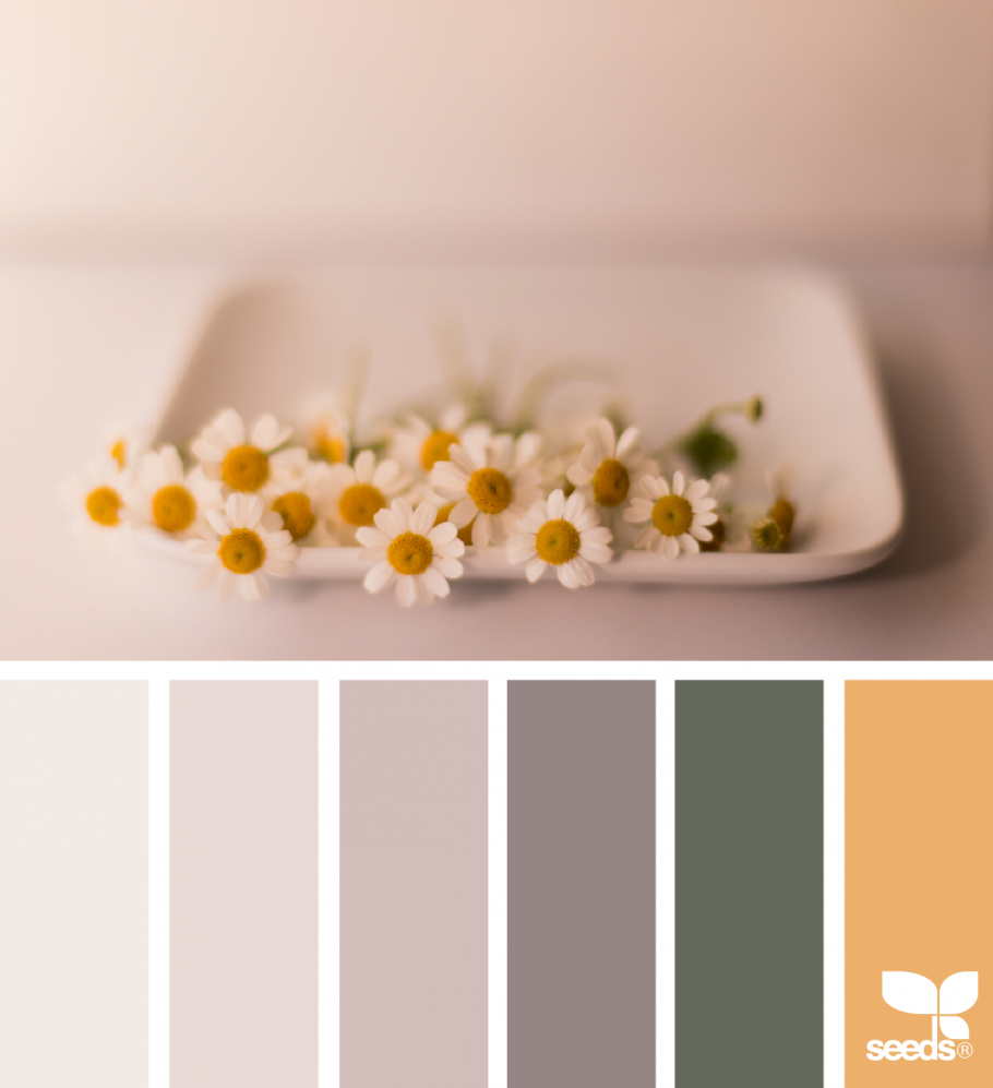 Нейтральная цветовая палитра