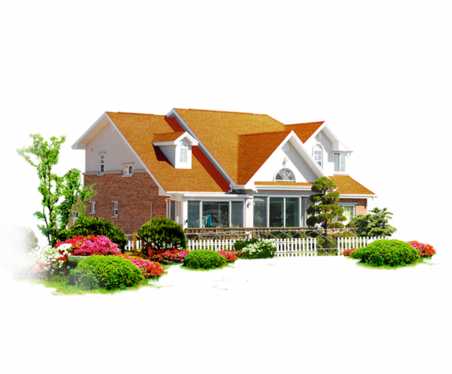 ДОГМ на прозрачном фоне