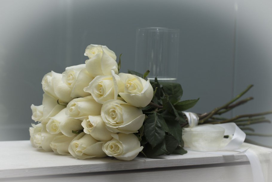 Белые розы для инстаграмма