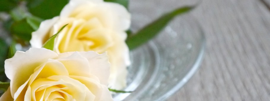 Стеновая панель для кухни с розами