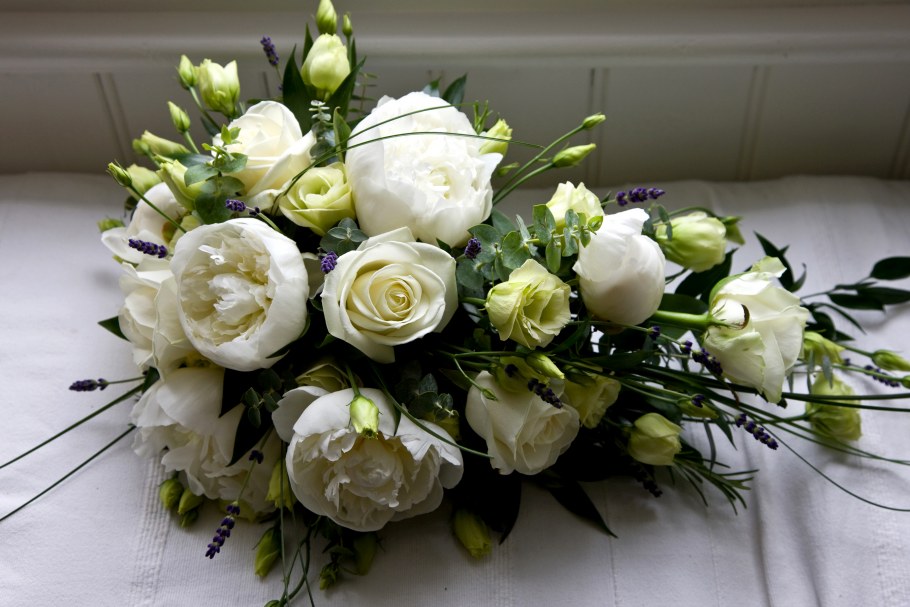 Розы на белом фоне на рабочий стол