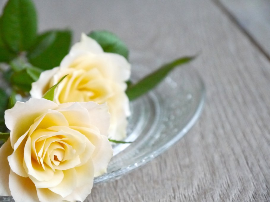 Стеновая панель для кухни черно белая