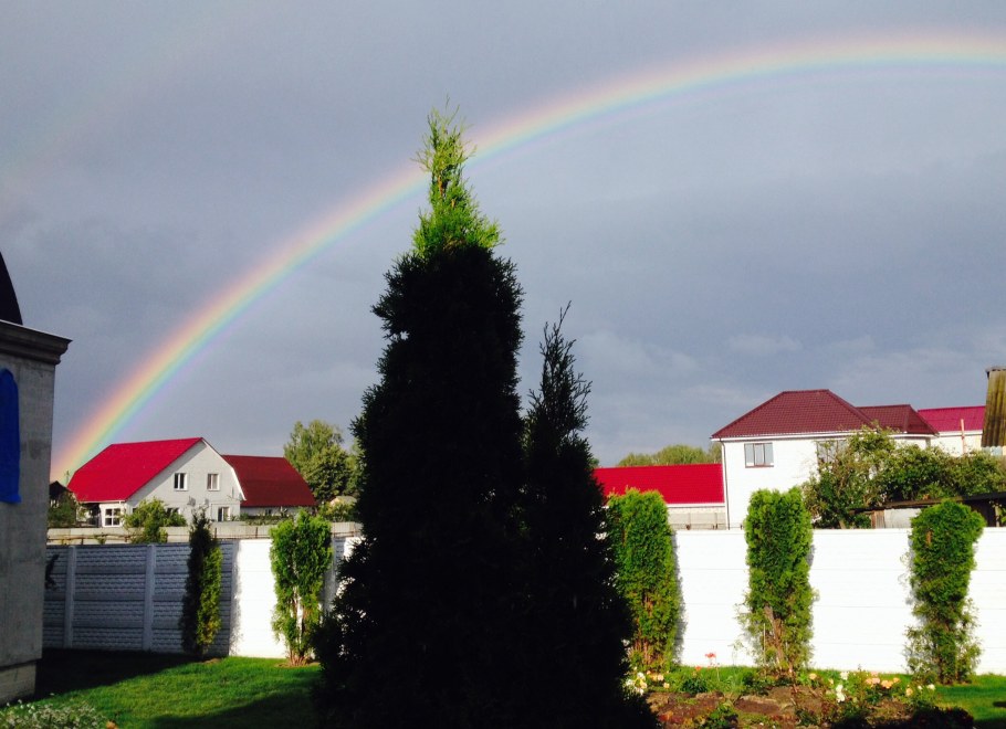 Домашняя Радуга
