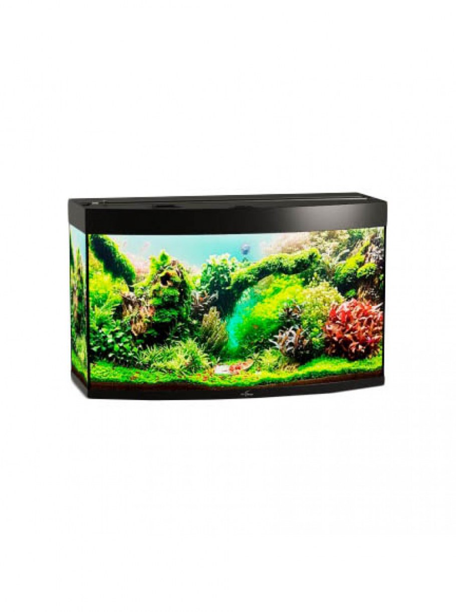 Аквариум ZELAQUA 100л угловой (550х550х560)