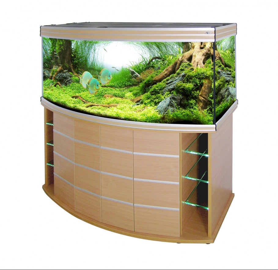 Биодизайн Altum Panoramic 300