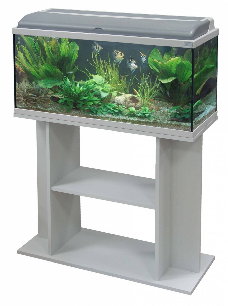 Аквариум Биодизайн панорама 80