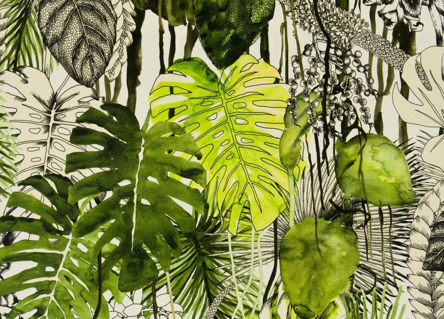 Обои Scion Zanzibar