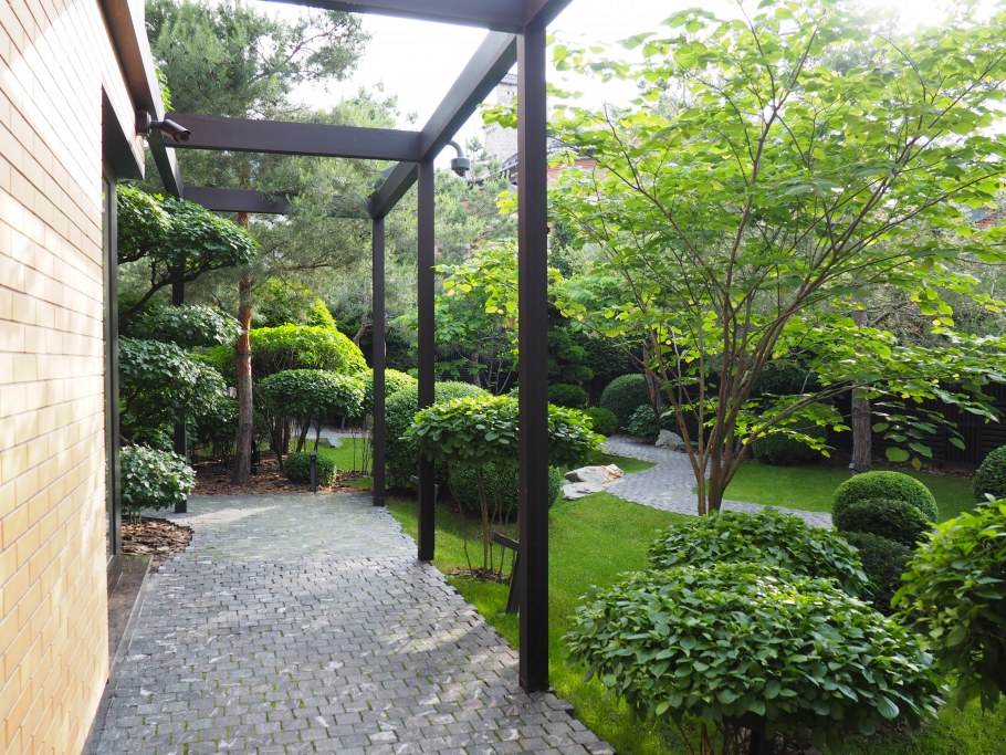 Ландшафт двора