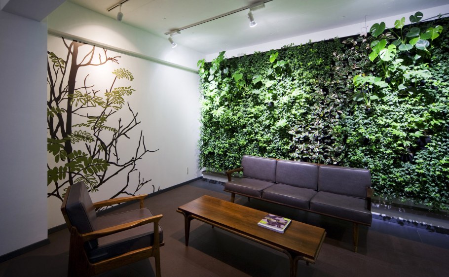 Фитостена Лаванда