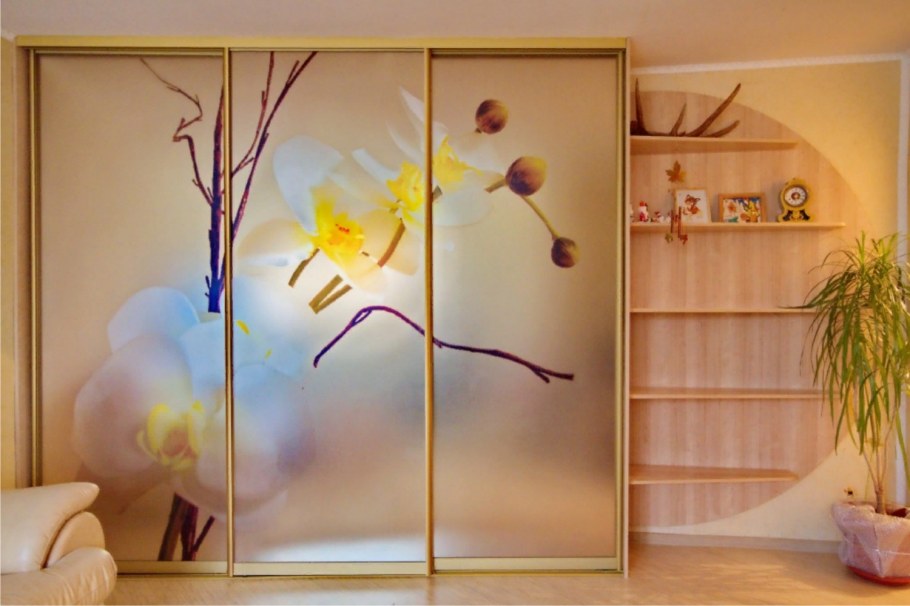 Оригинальные двери купе для шкафа