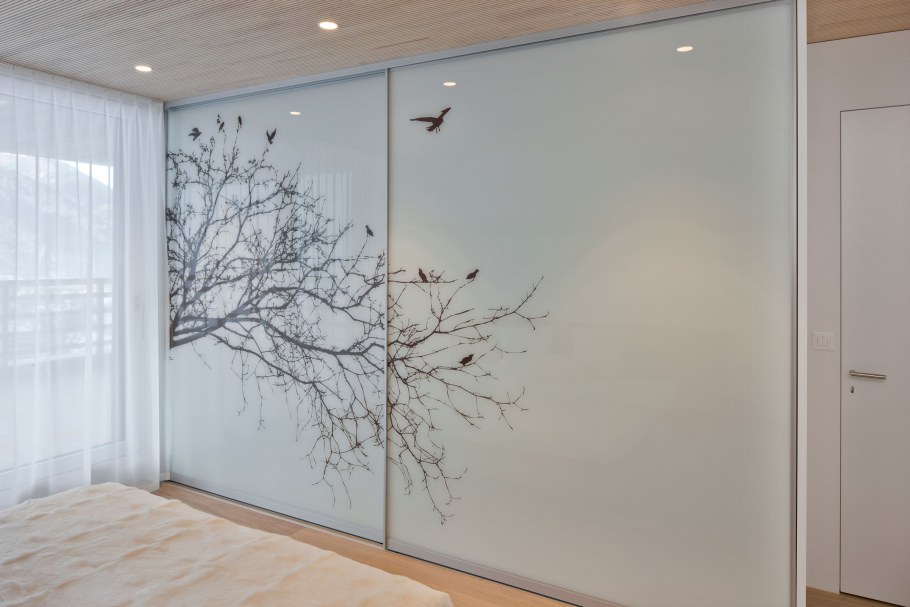 Шкаф купе с матовым стеклом и рисунком