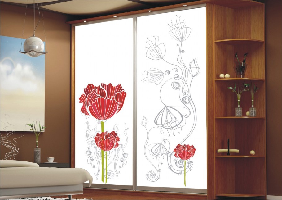 Маки на шкафах купе