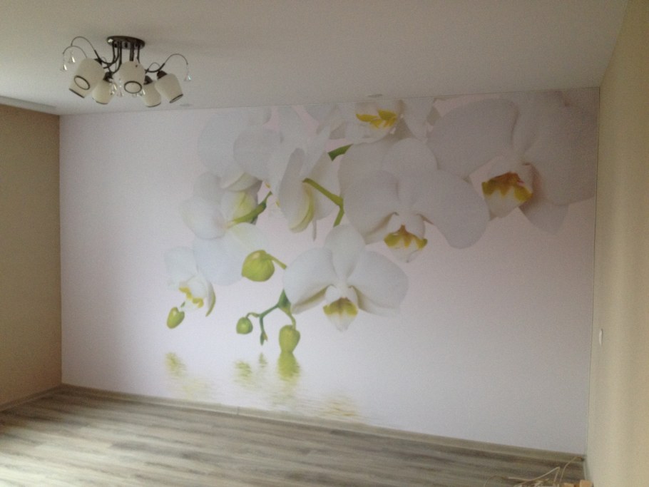 Тканевая натяжная стена