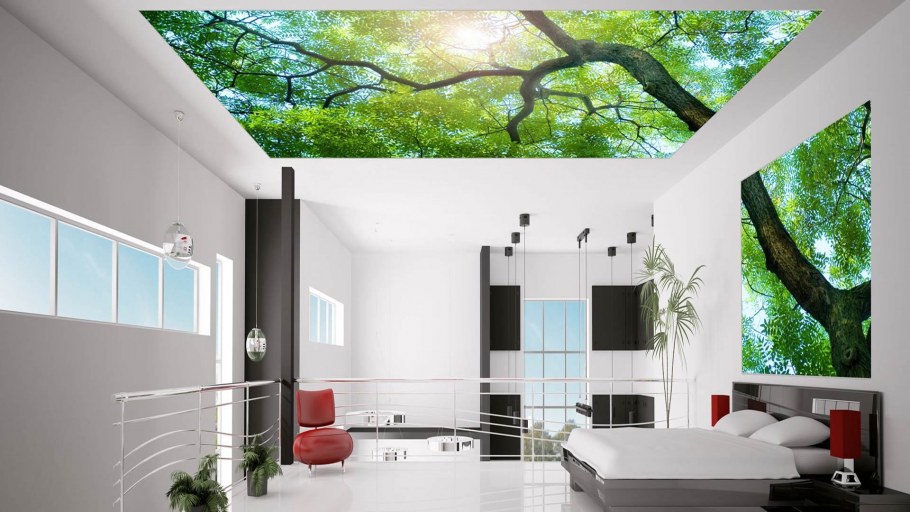 Натяжные потолки с фотопечатью