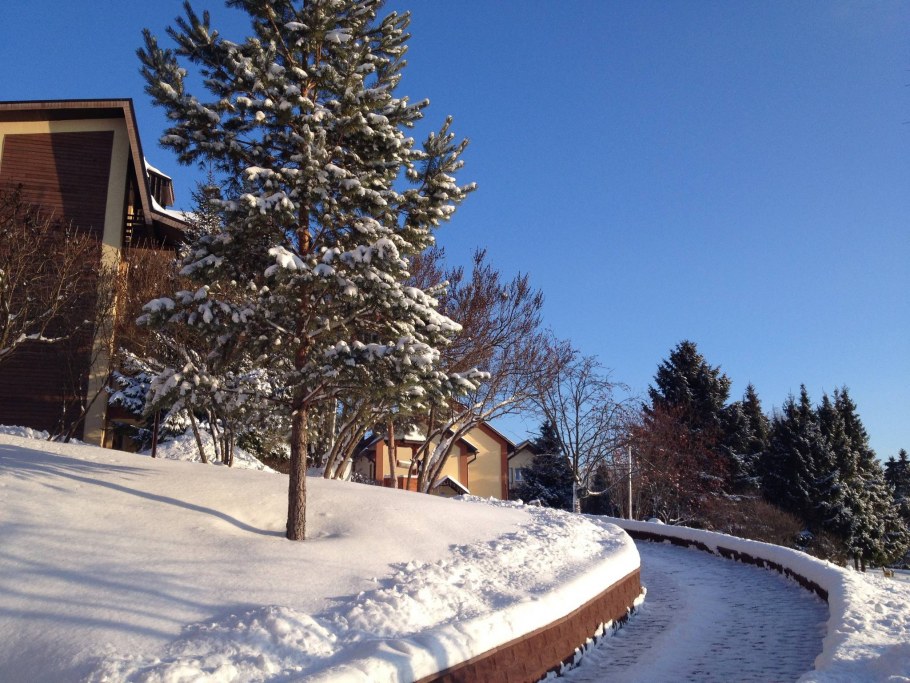 Саврасово Никологоры