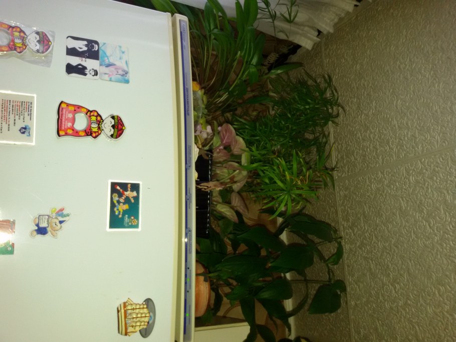 Холодильник Smeg ретро желтый