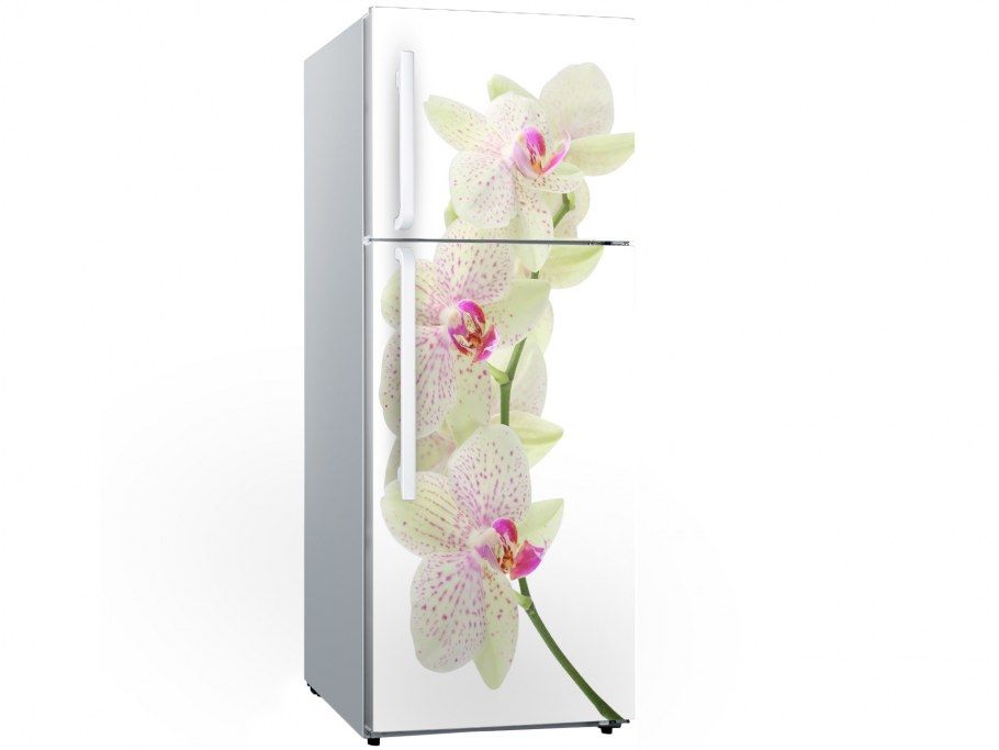 Виниловая пленка на холодильник