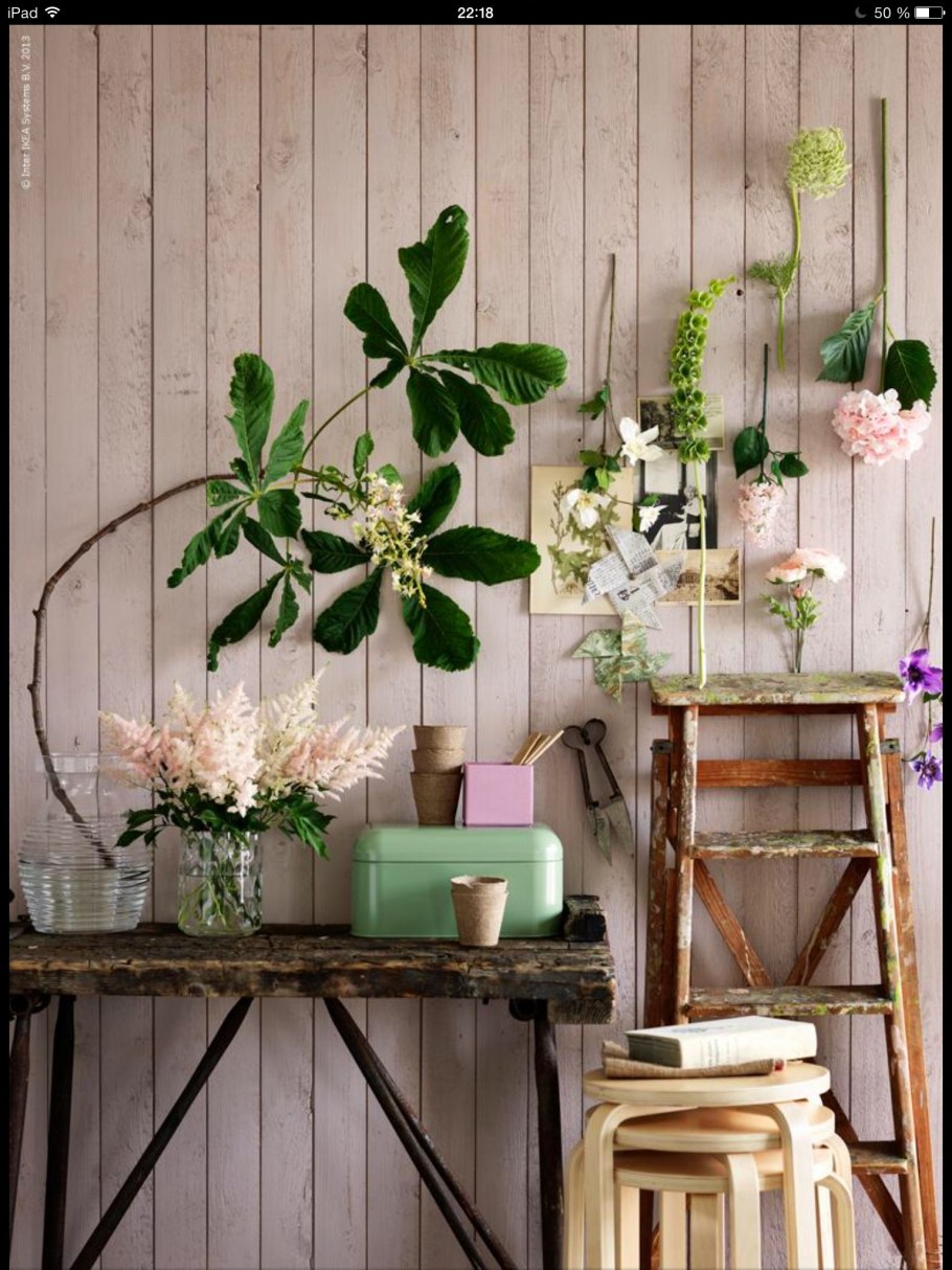 Озеленение комнаты