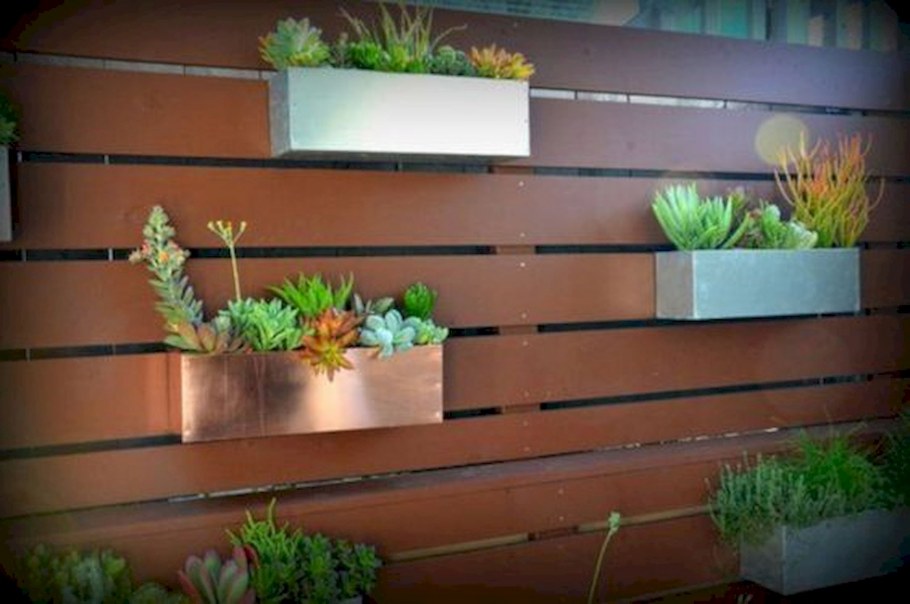 Растения горизонтальное фото