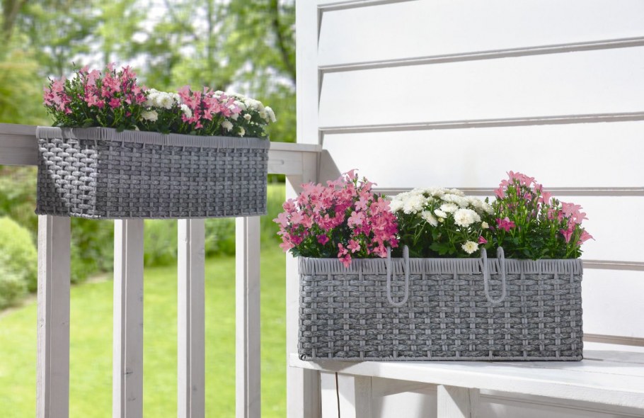 Озеленение офиса