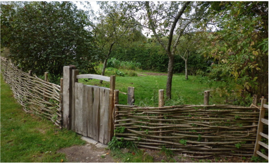 Изгородь в деревне