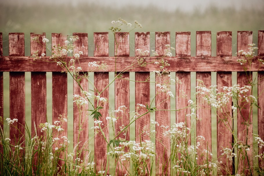 Деревянный забор с цветами
