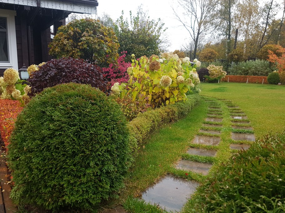 Ландшафтная студия