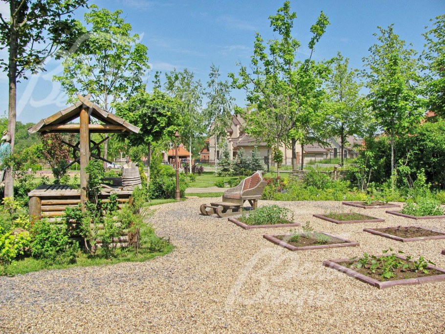 Летова роща Антоновка 2