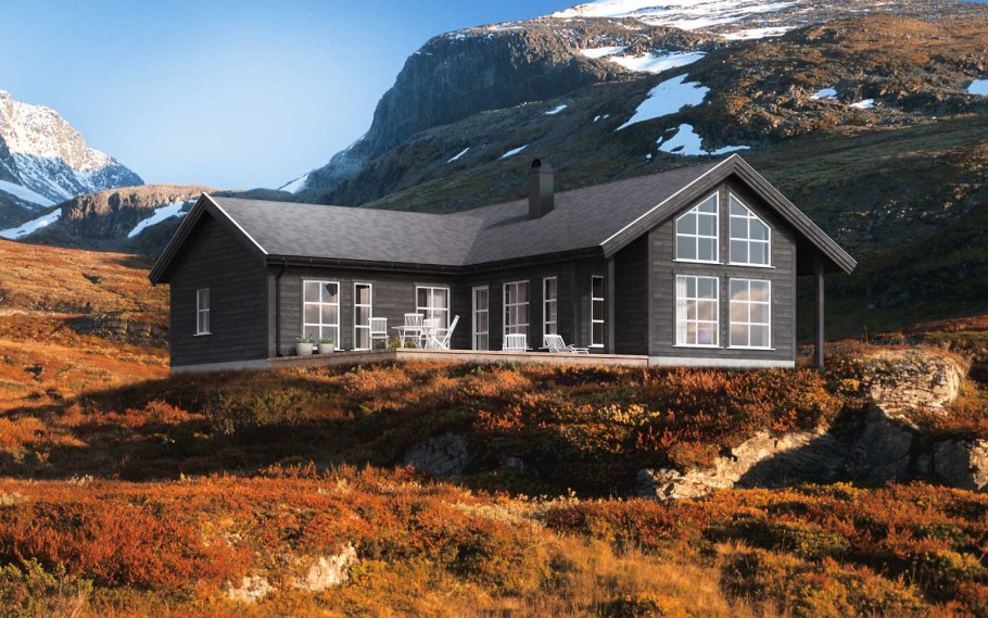 Финский домик Saga